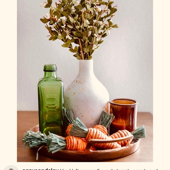 Opalhouse Accents Target Threshold Carrot Farmhouse Vase Filler